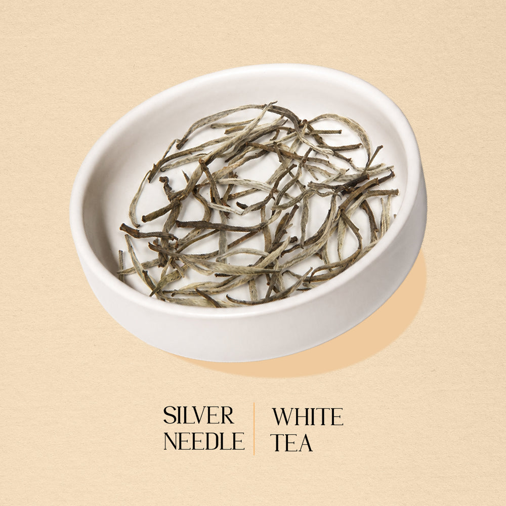 Silver Needle White Tea