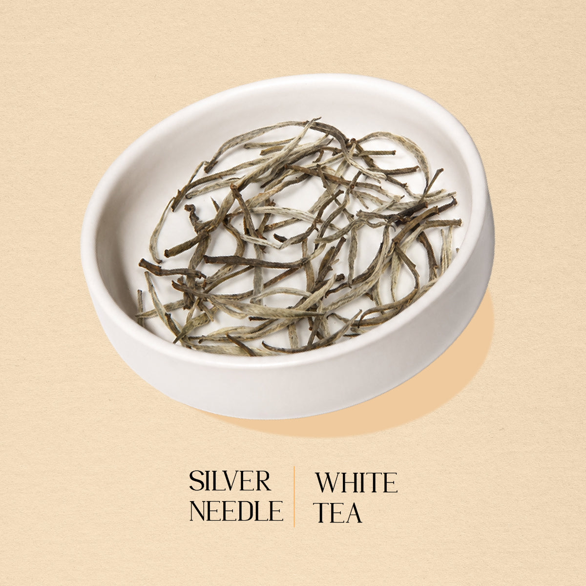 Silver Needle White Tea