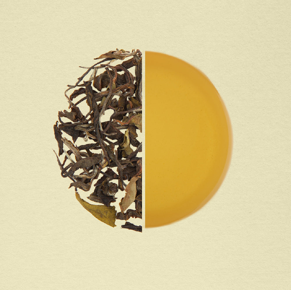 Bai Madan White Tea