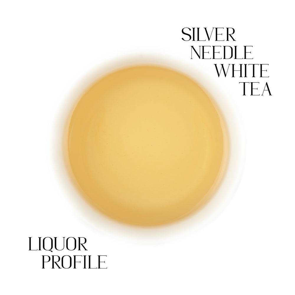 Silver Needle White Tea