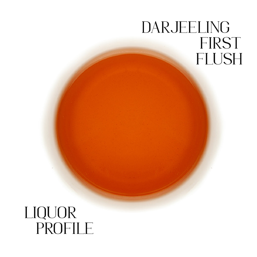 Darjeeling First Flush