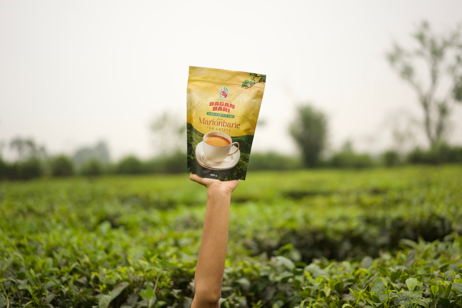 Marionbarie Single Estate Tea