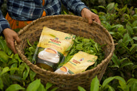 Marionbarie Single Estate Tea